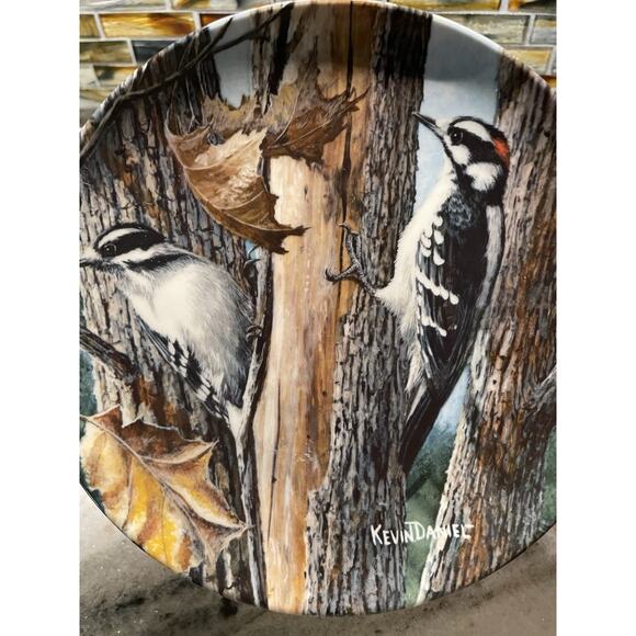 Vintage 5 Encyclopedia Britannica Birds Of Your Garden Collector Plates Knowles - Picture 6 of 12